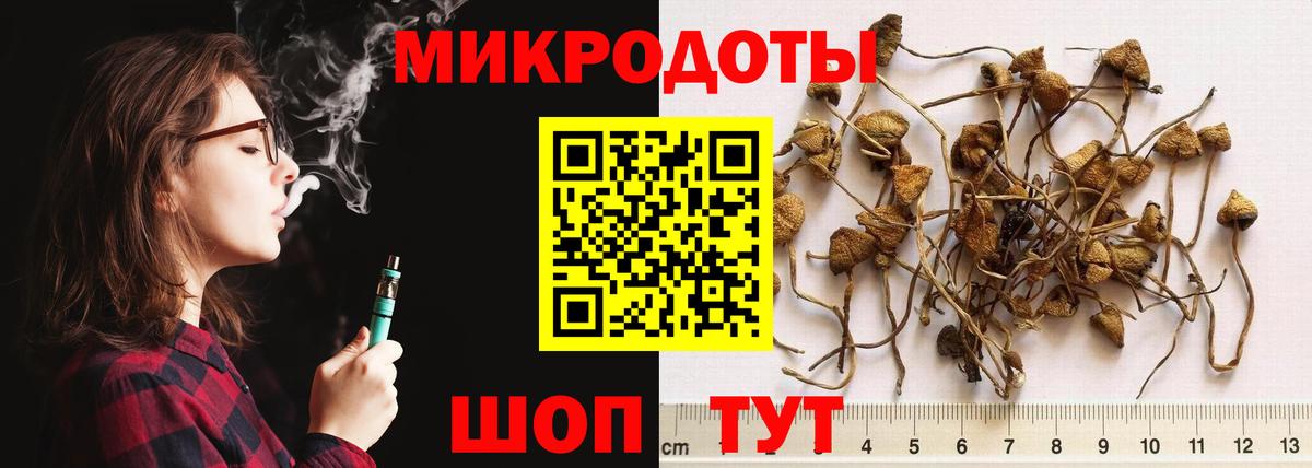 Мариинск  Галлюциногенные грибы прущие грибы  Вход с VPN 