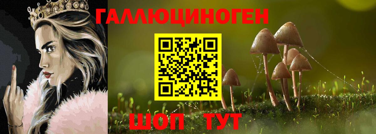 Псилоцибиновые грибы прущие грибы Мариинск